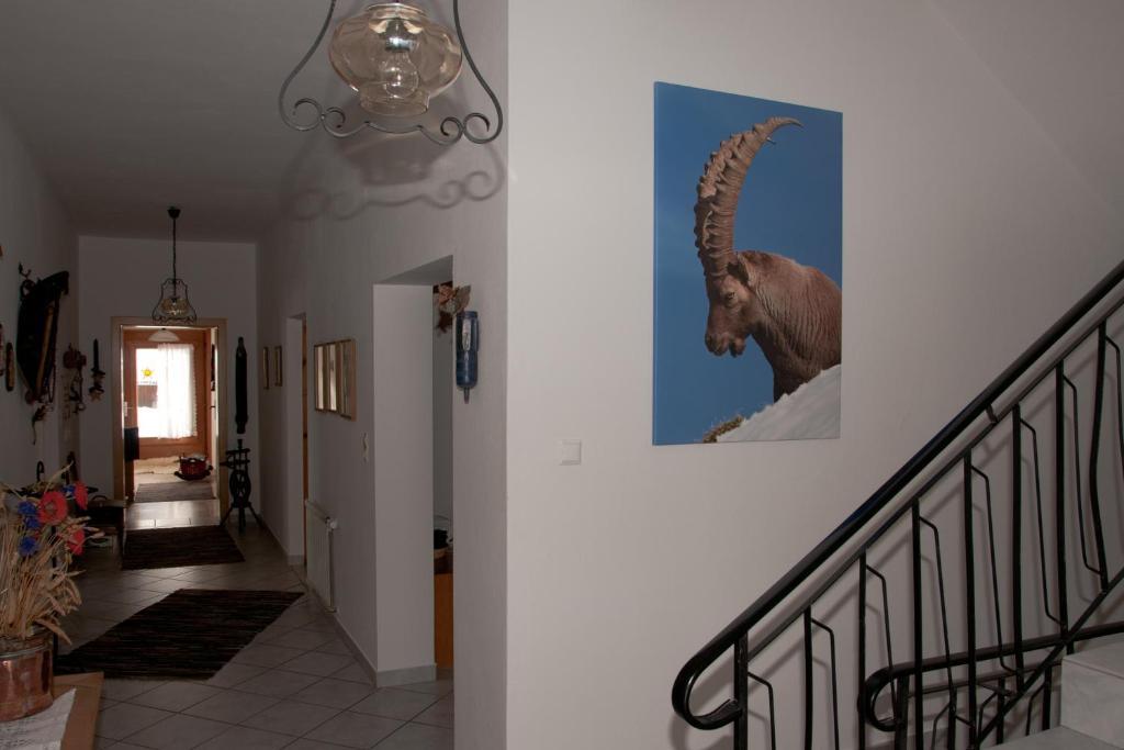 Appartements Schmalzerhof Gries im Sellrain Exterior photo